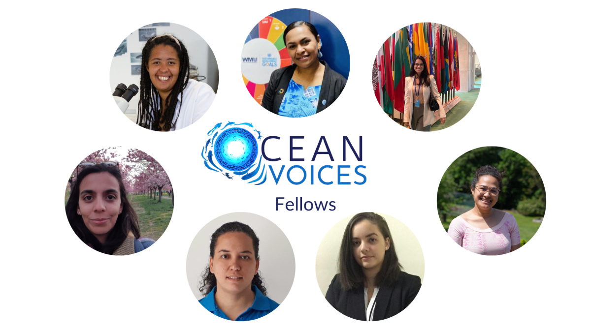 Ocean Voices Fellows