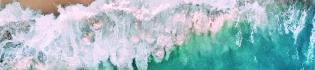 Ocean Voices