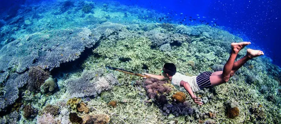 An image of spearfisher