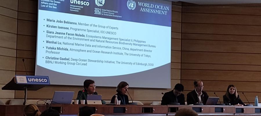 Christine Gaebel at the International Symposium on Strengthening the Ocean Science-Policy Interface
